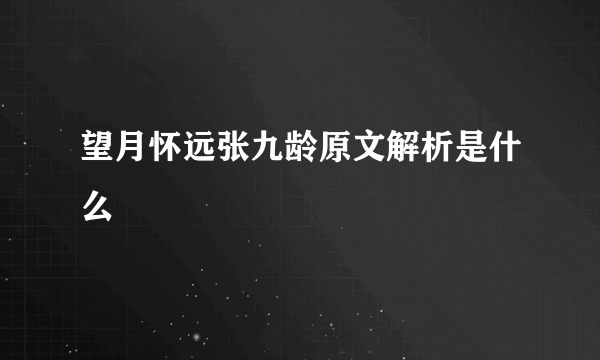 望月怀远张九龄原文解析是什么