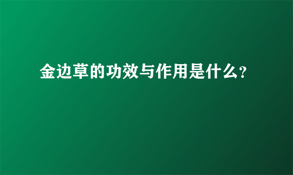 金边草的功效与作用是什么？