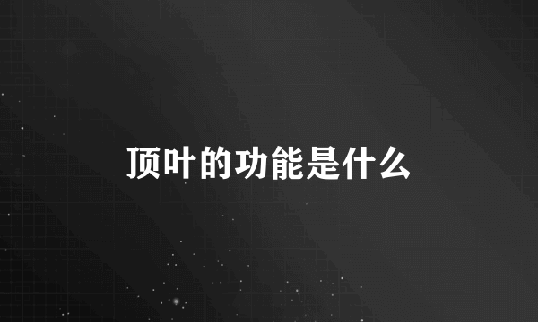 顶叶的功能是什么