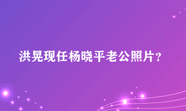 洪晃现任杨晓平老公照片？