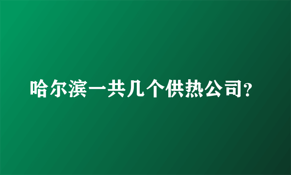 哈尔滨一共几个供热公司？