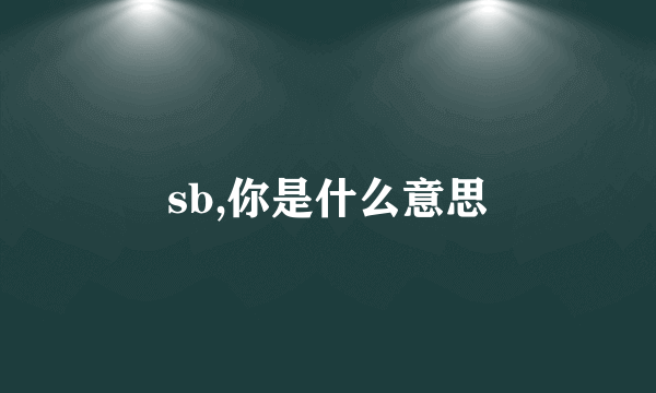 sb,你是什么意思