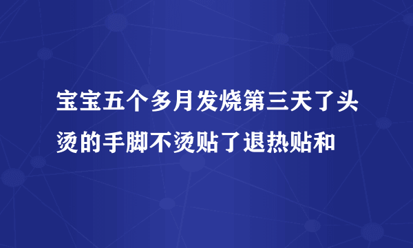 宝宝五个多月发烧第三天了头烫的手脚不烫贴了退热贴和