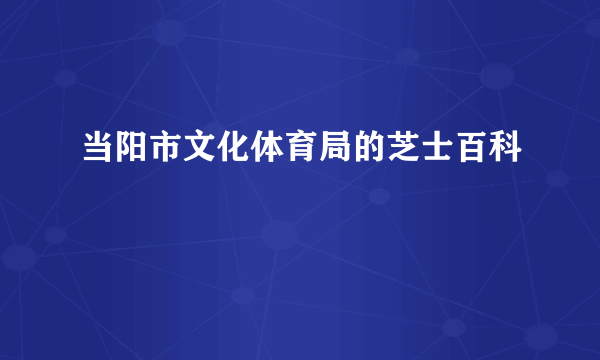 当阳市文化体育局的芝士百科