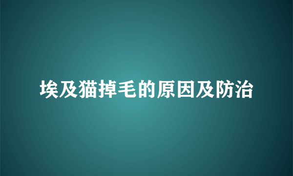 埃及猫掉毛的原因及防治