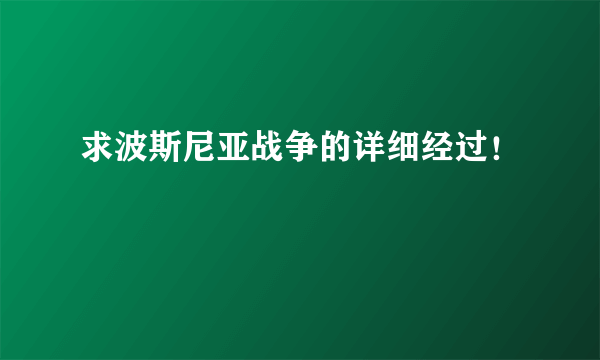 求波斯尼亚战争的详细经过！