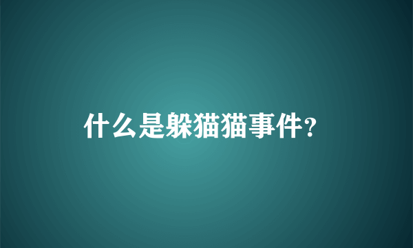 什么是躲猫猫事件？