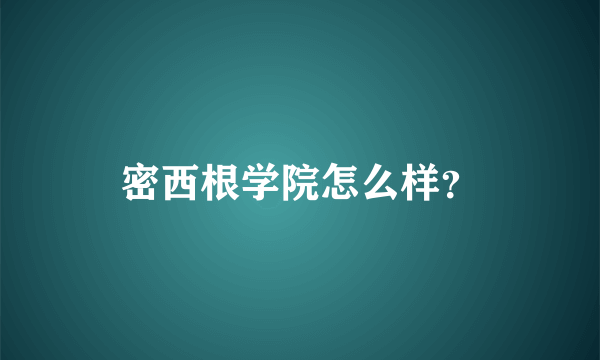 密西根学院怎么样？