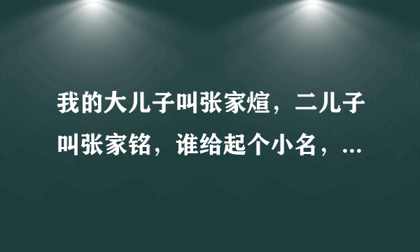 我的大儿子叫张家煊，二儿子叫张家铭，谁给起个小名，谢谢了？