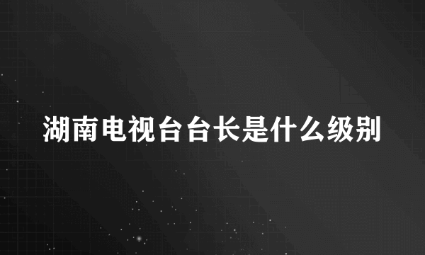 湖南电视台台长是什么级别