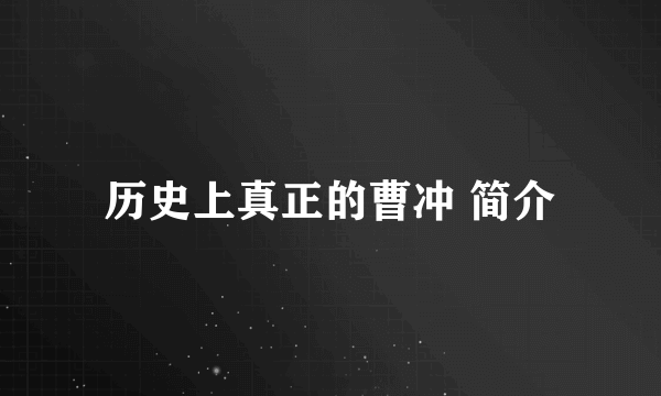 历史上真正的曹冲 简介