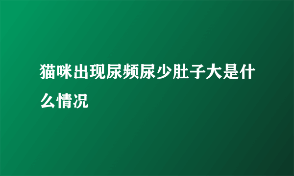 猫咪出现尿频尿少肚子大是什么情况