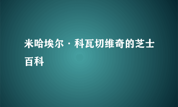 米哈埃尔·科瓦切维奇的芝士百科