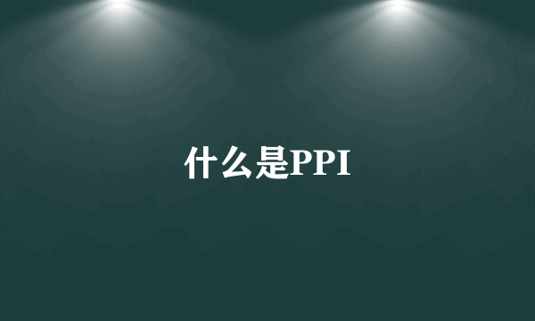 什么是PPI