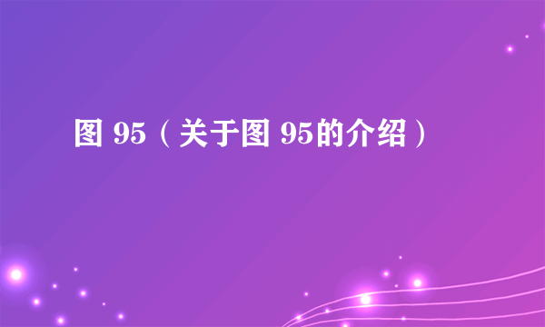 图 95（关于图 95的介绍）