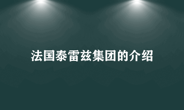 法国泰雷兹集团的介绍