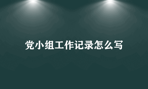 党小组工作记录怎么写