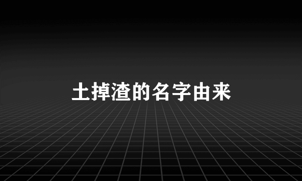 土掉渣的名字由来