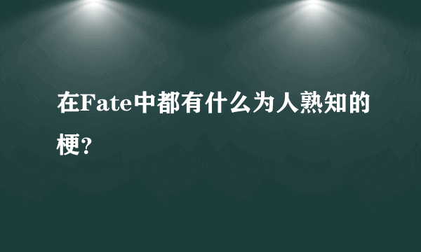 在Fate中都有什么为人熟知的梗？