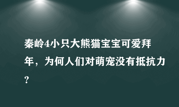 秦岭4小只大熊猫宝宝可爱拜年，为何人们对萌宠没有抵抗力？