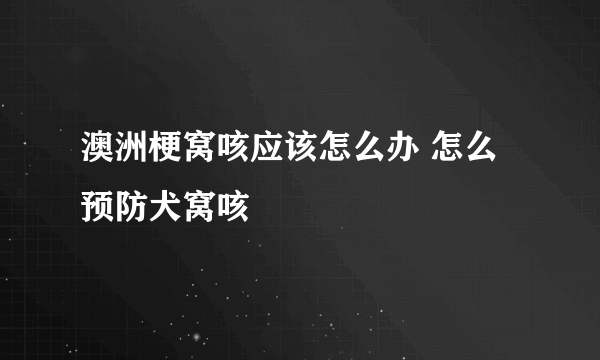 澳洲梗窝咳应该怎么办 怎么预防犬窝咳