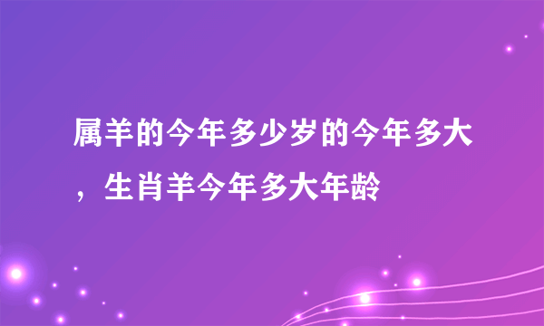 属羊的今年多少岁的今年多大，生肖羊今年多大年龄