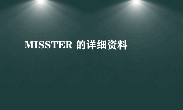 MISSTER 的详细资料