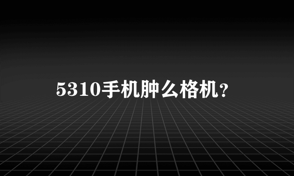 5310手机肿么格机？