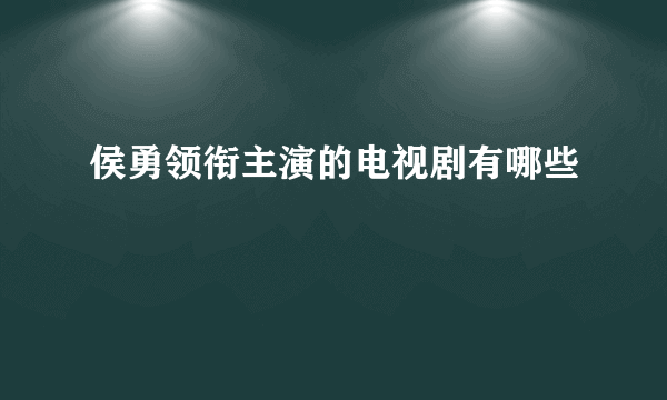 侯勇领衔主演的电视剧有哪些