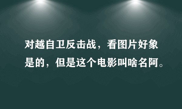 对越自卫反击战，看图片好象是的，但是这个电影叫啥名阿。