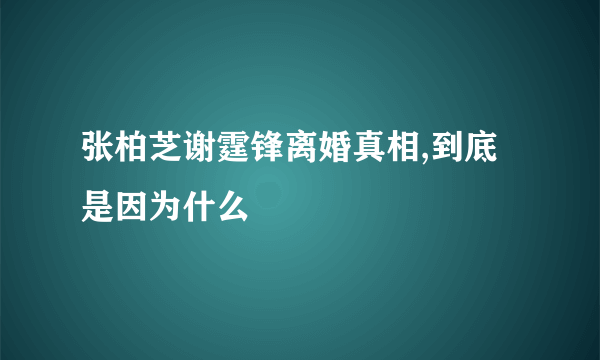 张柏芝谢霆锋离婚真相,到底是因为什么