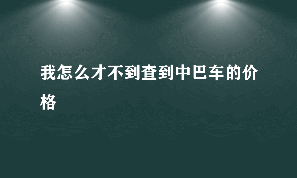 我怎么才不到查到中巴车的价格