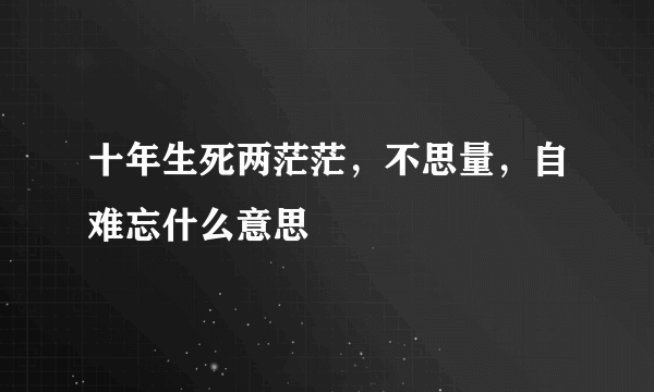 十年生死两茫茫，不思量，自难忘什么意思