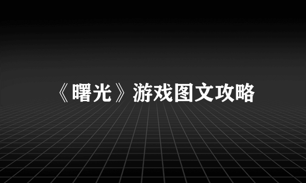 《曙光》游戏图文攻略