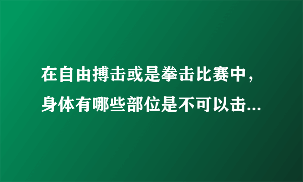 在自由搏击或是拳击比赛中，身体有哪些部位是不可以击打的呢？