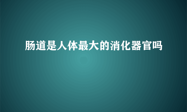 肠道是人体最大的消化器官吗