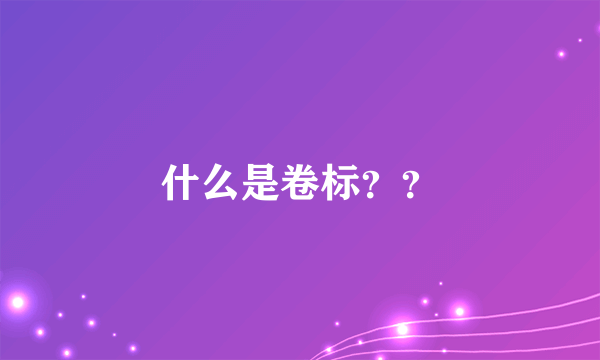 什么是卷标？？