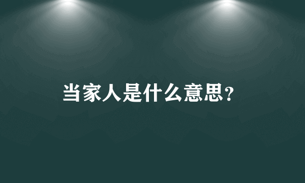 当家人是什么意思？