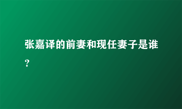 张嘉译的前妻和现任妻子是谁？