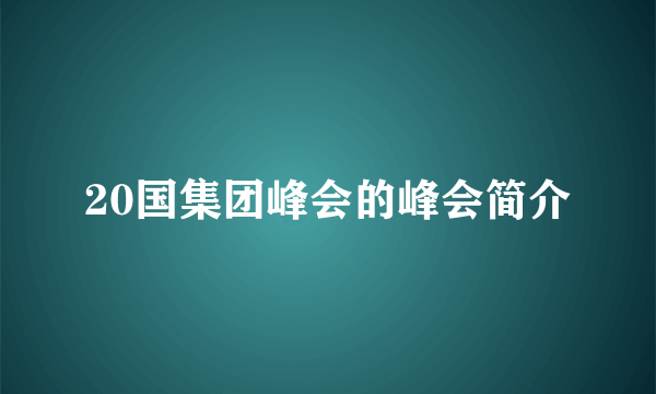 20国集团峰会的峰会简介