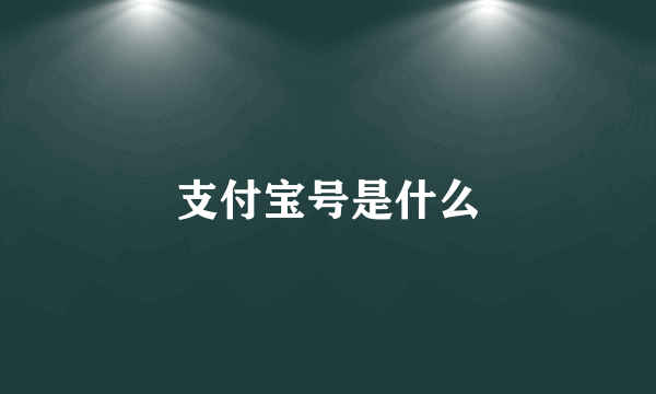 支付宝号是什么