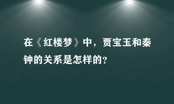 在《红楼梦》中，贾宝玉和秦钟的关系是怎样的？