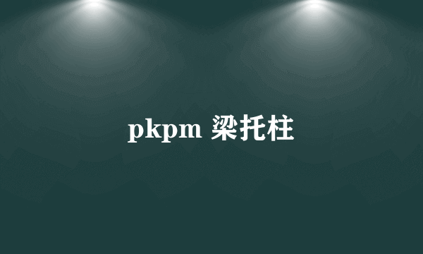 pkpm 梁托柱