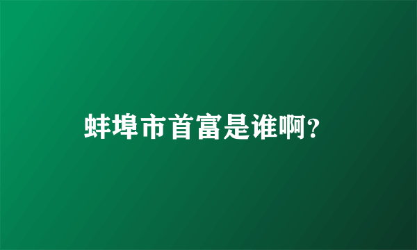 蚌埠市首富是谁啊？