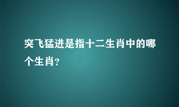 突飞猛进是指十二生肖中的哪个生肖？