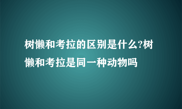 树懒和考拉的区别是什么?树懒和考拉是同一种动物吗