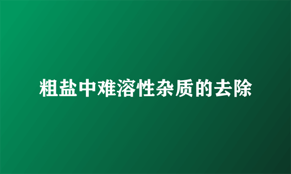 粗盐中难溶性杂质的去除