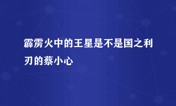 霹雳火中的王星是不是国之利刃的蔡小心