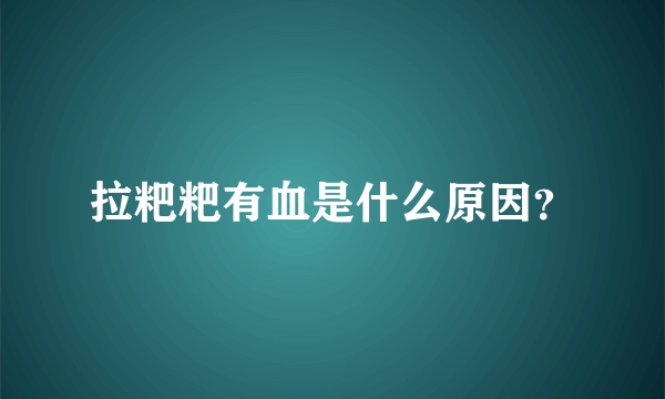 拉粑粑有血是什么原因？