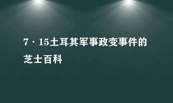 7·15土耳其军事政变事件的芝士百科